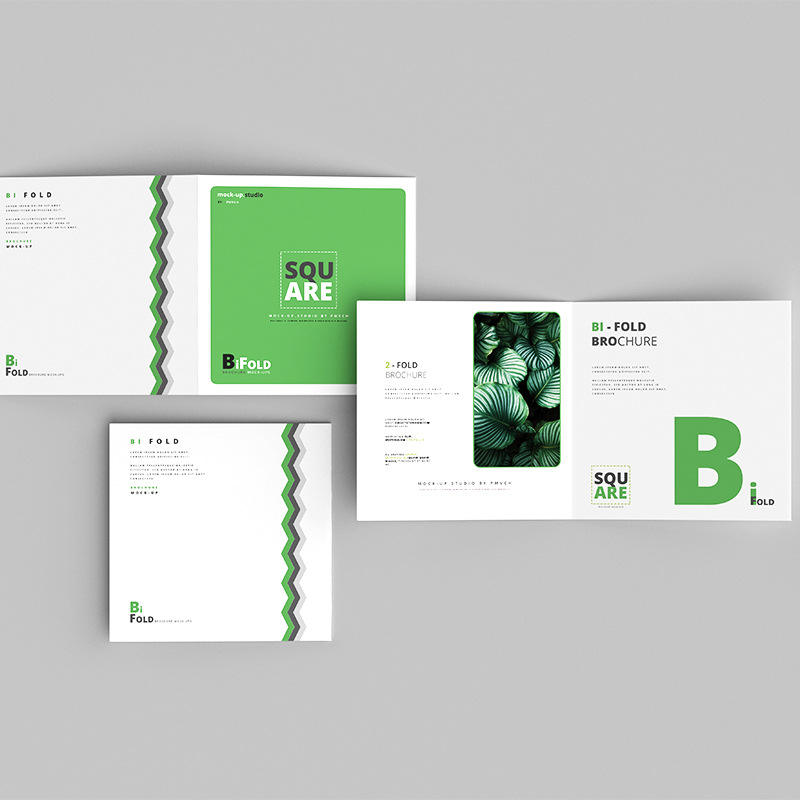 Individueller Vollfarbiger Fly – Commercial Printing Supplies Bewertung und Preis